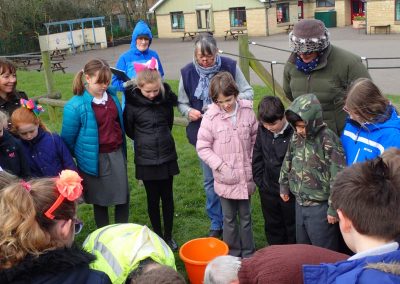 Local Archaeologists at Dilton Primary School